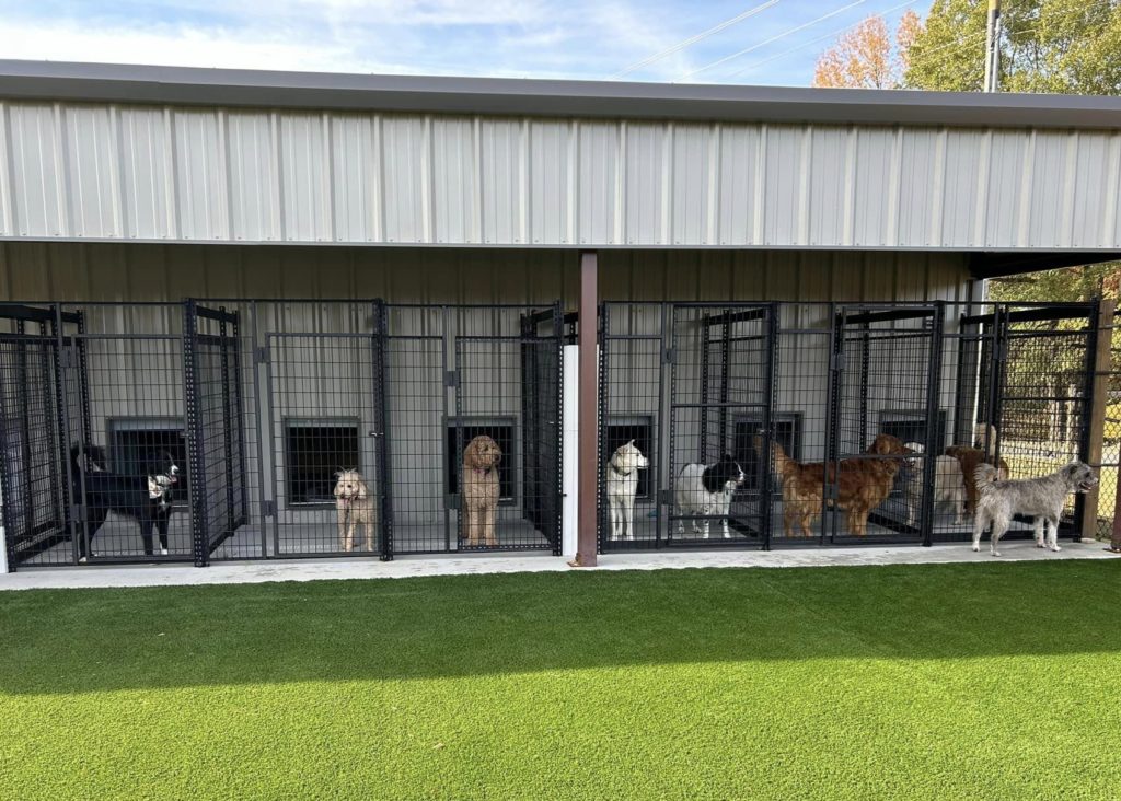Big Dog Boarding kennels